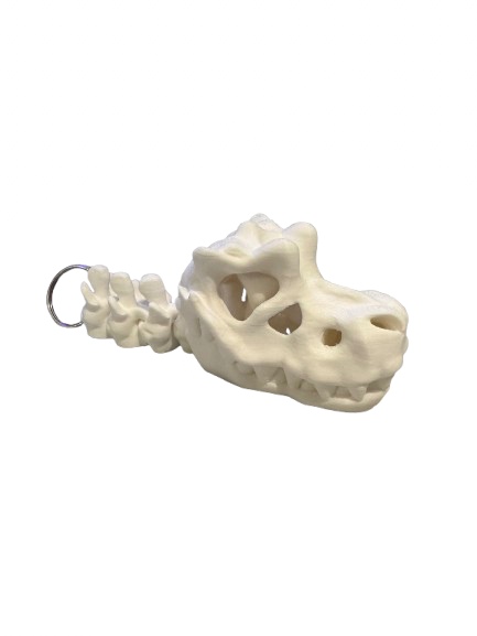 Skull